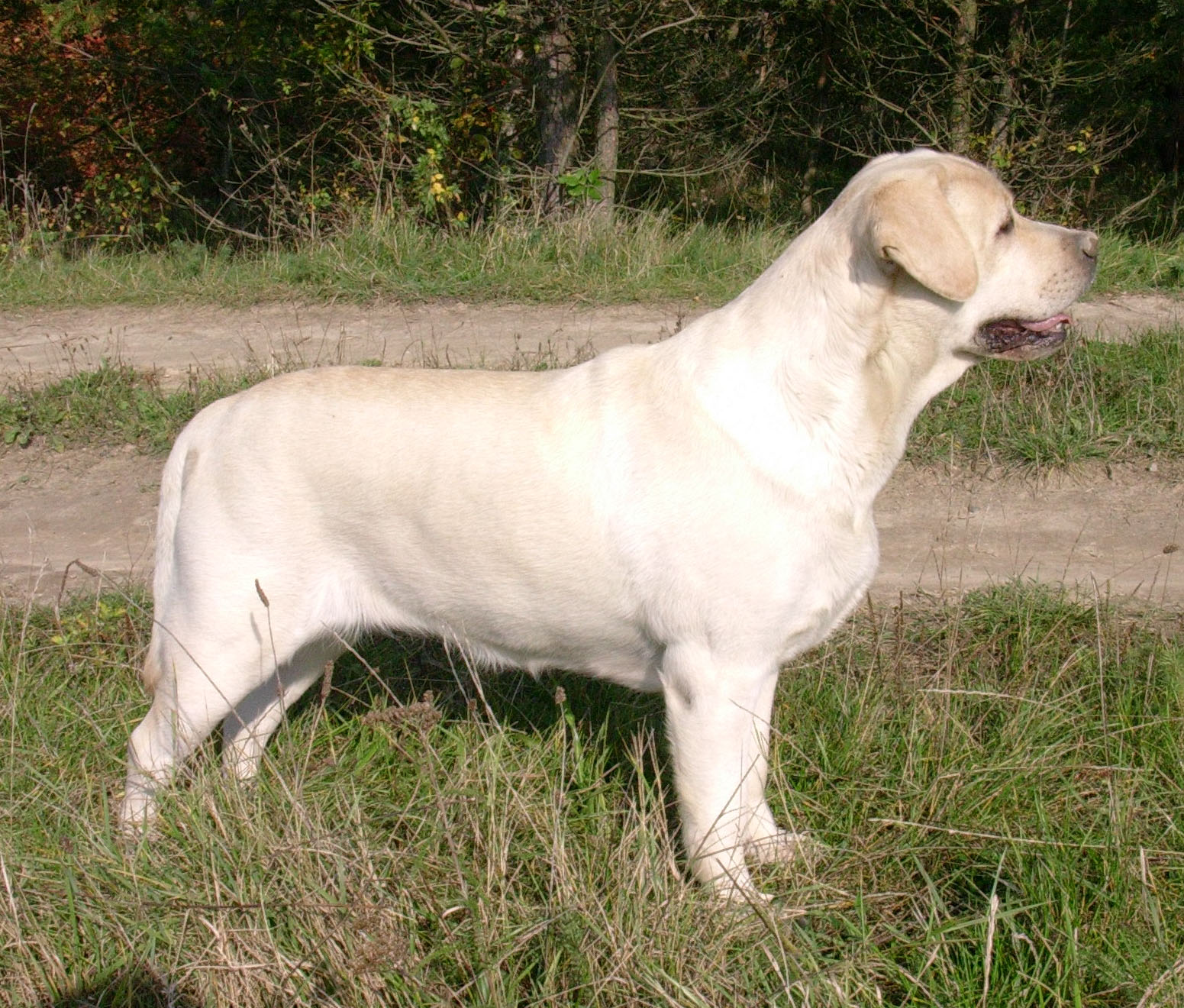 DSCN3688.JPG